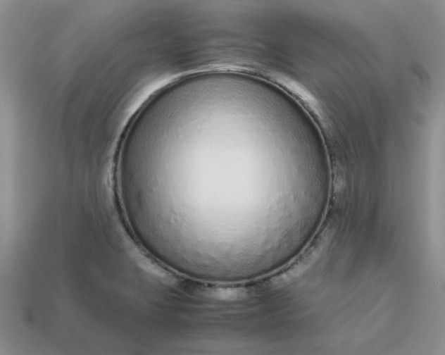 X0000113011423200909101808