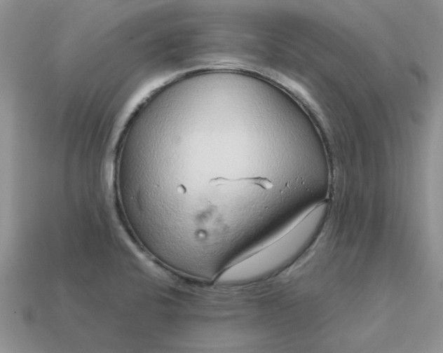 X0000113011424200909101808