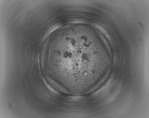 X0000113011425200909101808