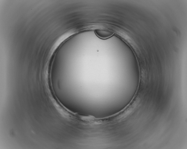 X0000113011426200909101808