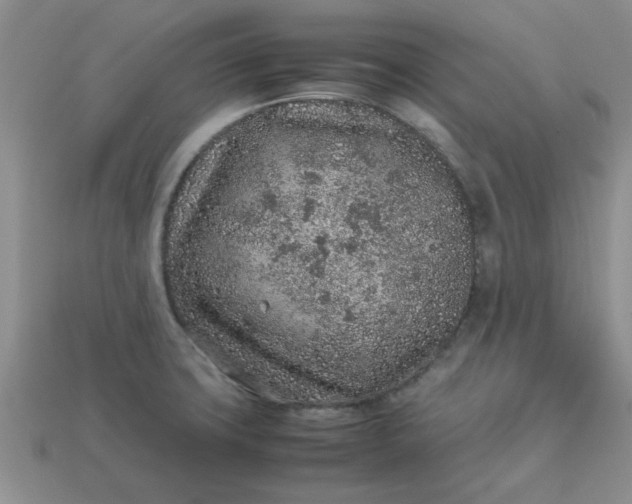 X0000113011427200909101808