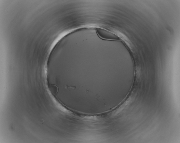 X0000113011428200909101808