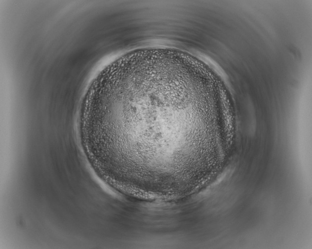 X0000113011429200909101808