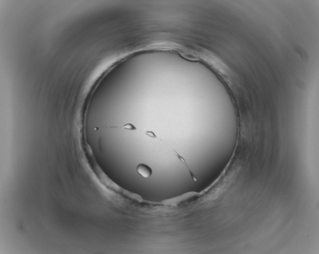 X0000113011430200909101808