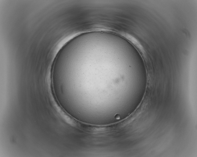 X0000113011431200909101808