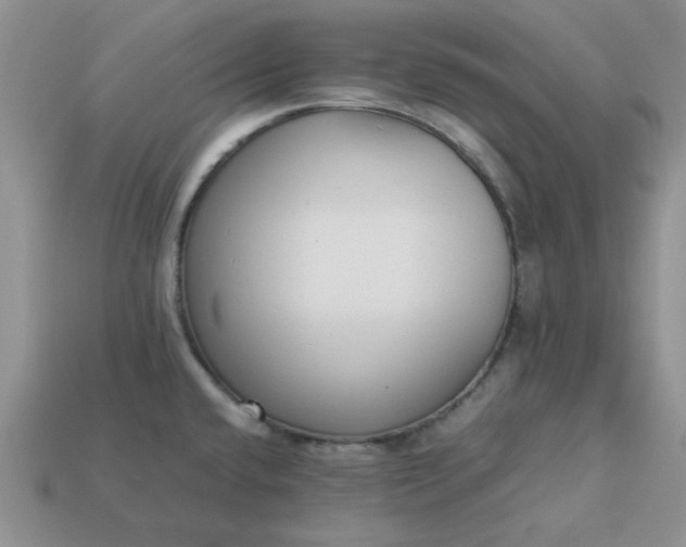 X0000113011432200909101808