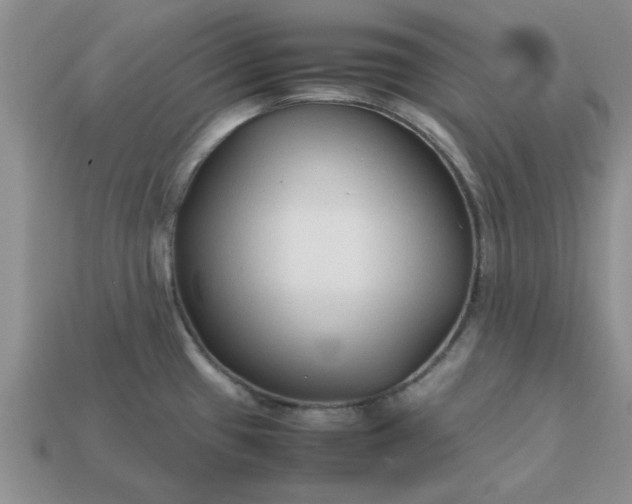 X0000113011433200909101808