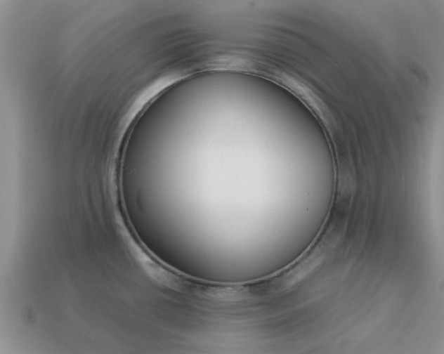 X0000113011434200909101808