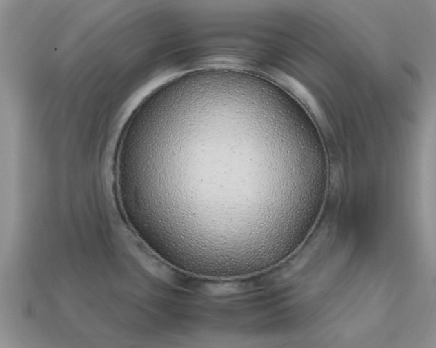 X0000113011435200909101808