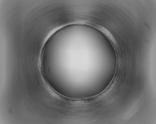 X0000113011436200909101808