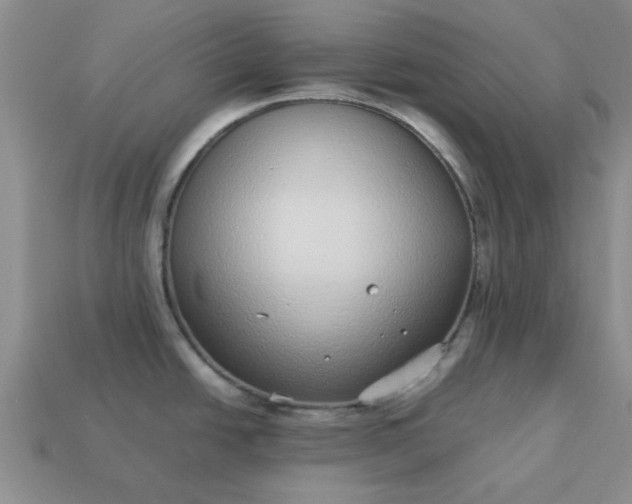 X0000113011438200909101808