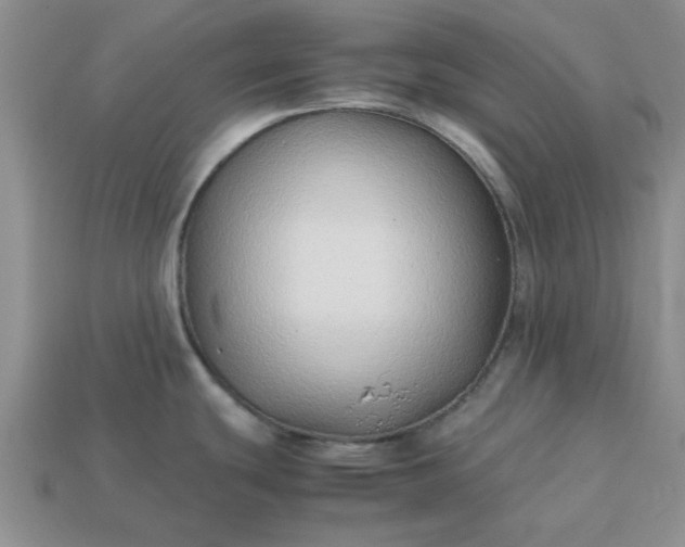 X0000113011439200909101808