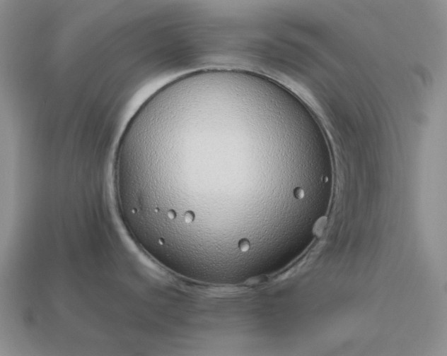 X0000113011440200909101808