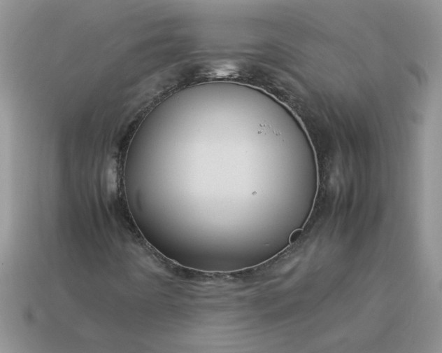 X0000113011442200909101808