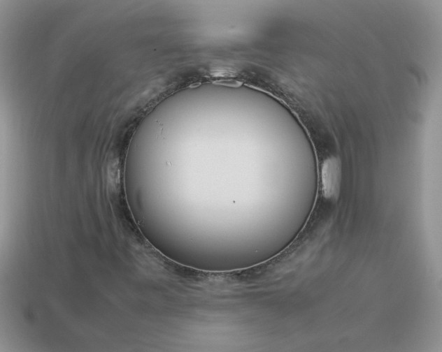 X0000113011443200909101808