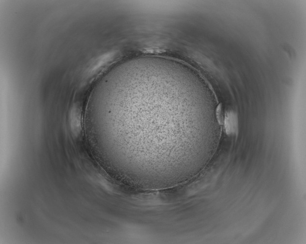 X0000113011444200909101808