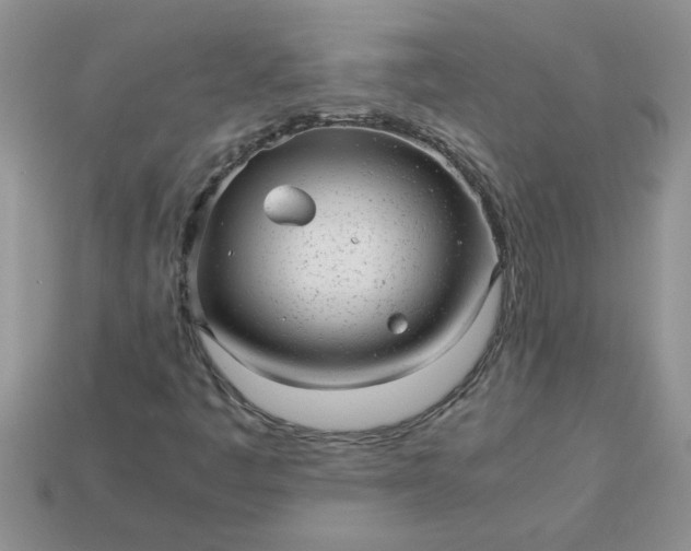 X0000113011445200909101808