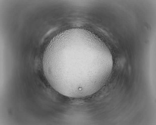 X0000113011446200909101808