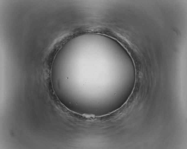 X0000113011447200909101808