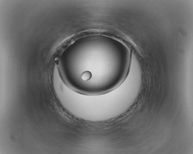 X0000113011448200909101808