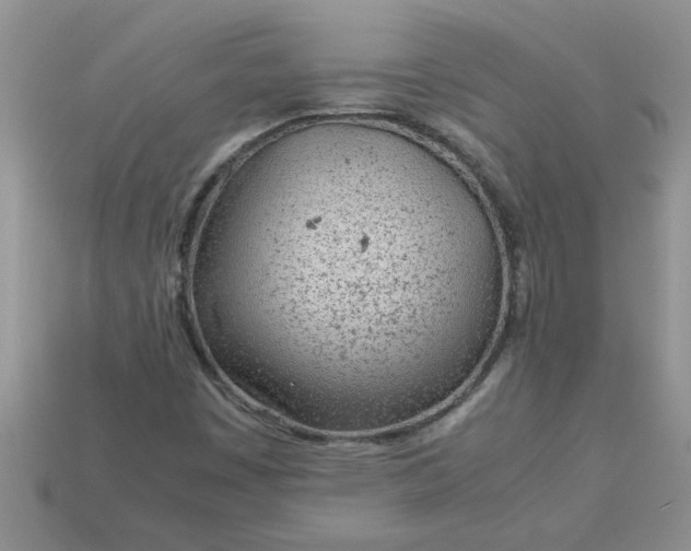 X0000113011449200909101808