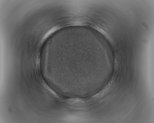 X0000113011450200909101808