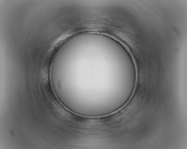 X0000113011451200909101808