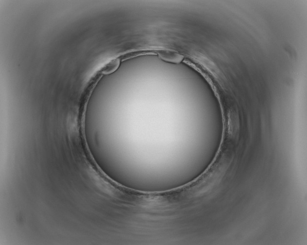 X0000113011452200909101808