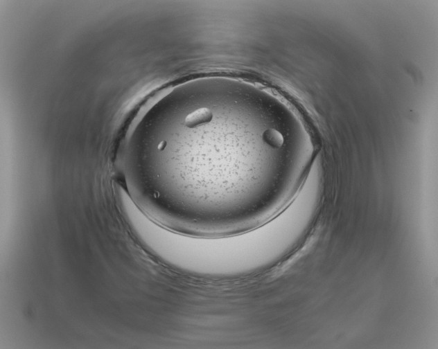 X0000113011453200909101808