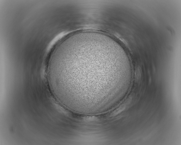 X0000113011454200909101807