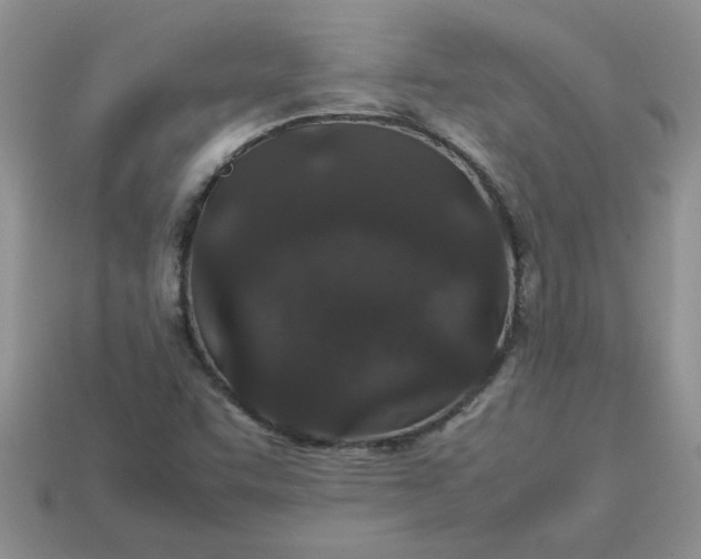 X0000113011455200909101807