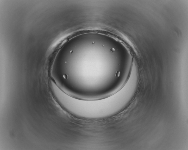 X0000113011456200909101807