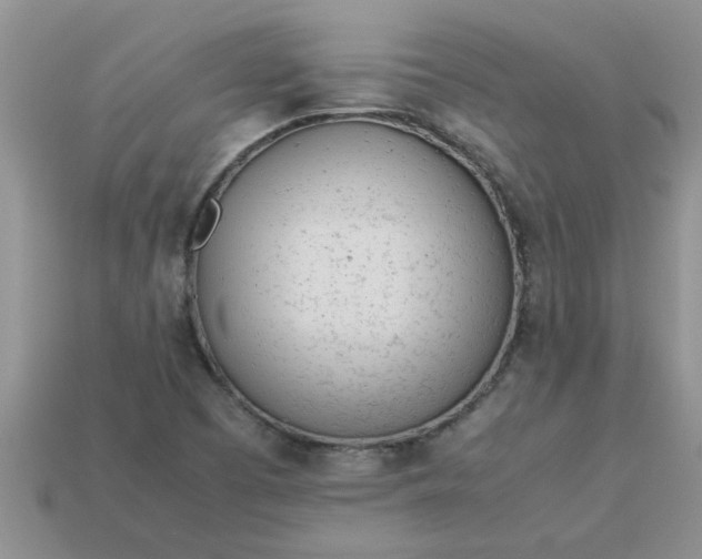 X0000113011457200909101807