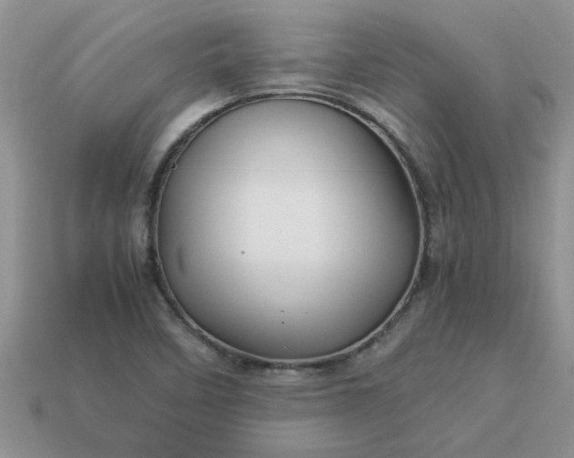 X0000113011458200909101807