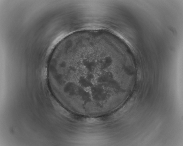 X0000113011459200909101807