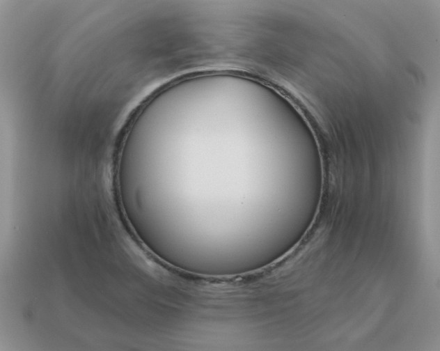 X0000113011460200909101807