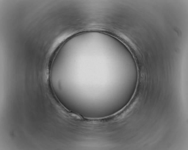 X0000113011461200909101807