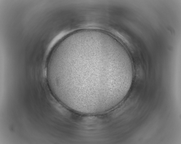 X0000113011462200909101807