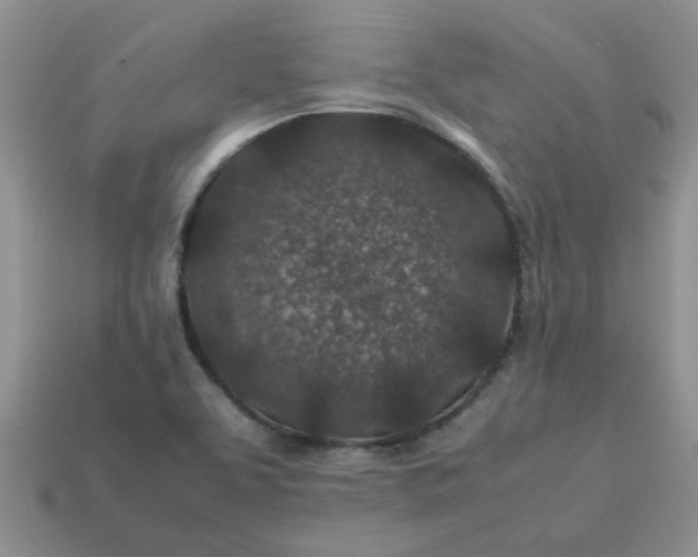 X0000113011463200909101807