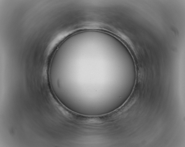 X0000113011464200909101807