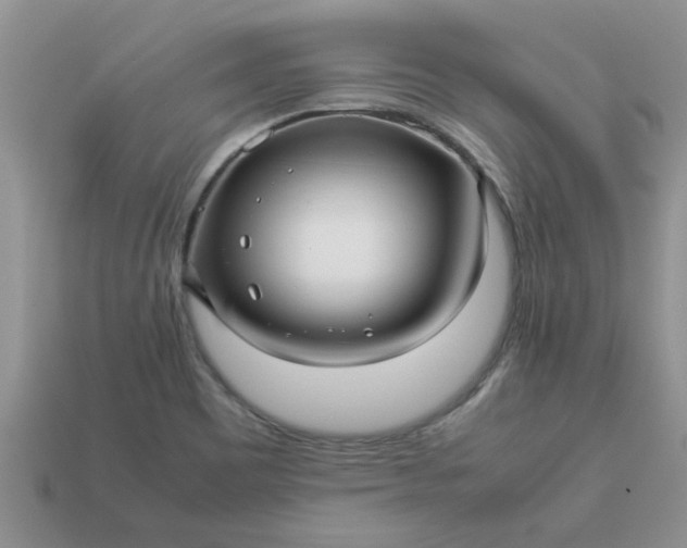 X0000113011465200909101807