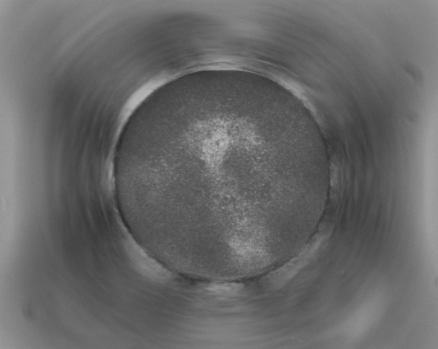 X0000113011466200909101807