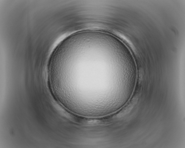 X0000113011467200909101807