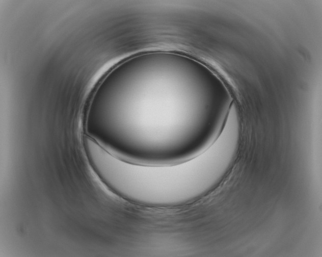 X0000113011468200909101807