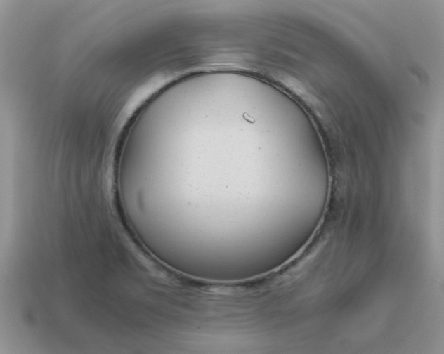 X0000113011469200909101807