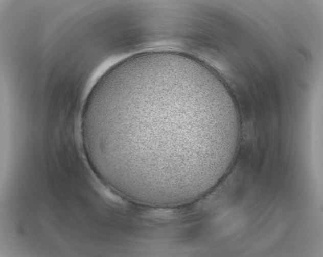 X0000113011470200909101807