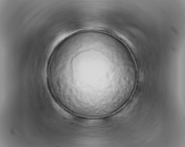 X0000113011471200909101807