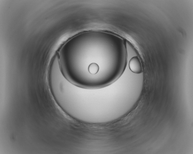 X0000113011472200909101807