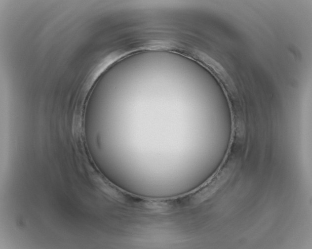 X0000113011473200909101807