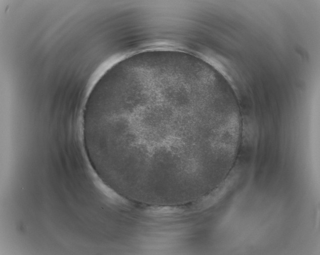 X0000113011474200909101807